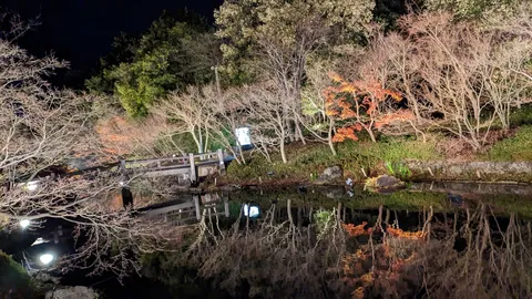 静寂の水面に映る幻想的な夜景