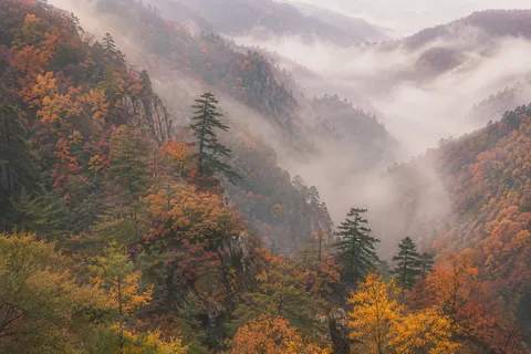 霧に包まれた秋の山並み