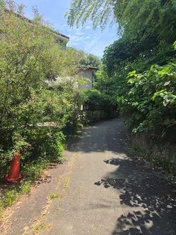 夏の日差し、緑と建物のコントラスト