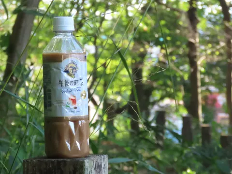 森の木陰で午後の紅茶