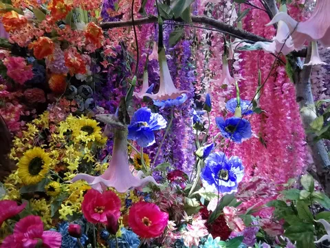 幻想的な花々の競演