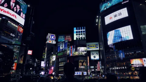 ネオンの海を歩く夜