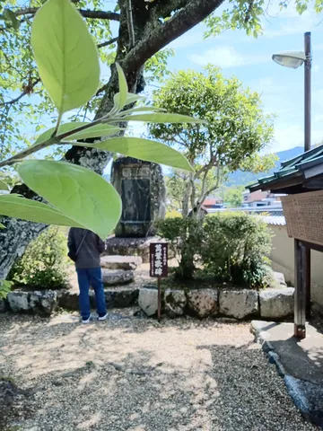 木漏れ日と石畳の静寂