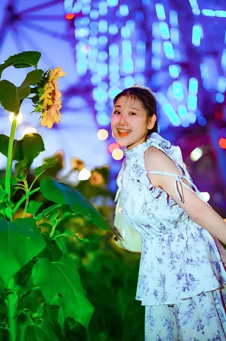 ひまわりと夜の光、幻想的な出会い