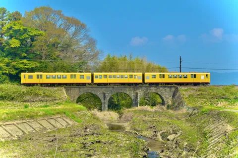 春色の列車、緑のアーチを渡る