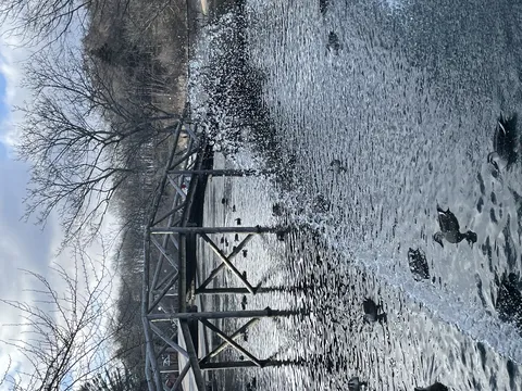 水しぶき弾ける冬の池