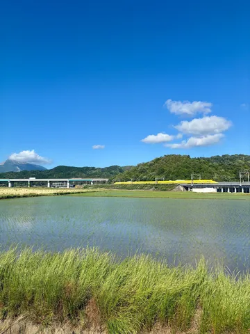 田園を駆け抜ける黄色の疾風