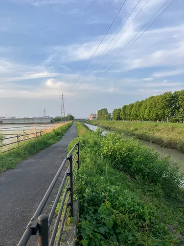 空と電線が並ぶ散歩道