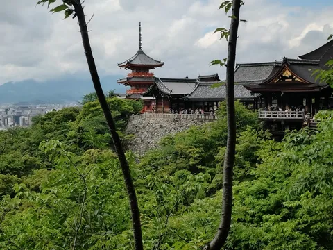 深緑に佇む古都の情景