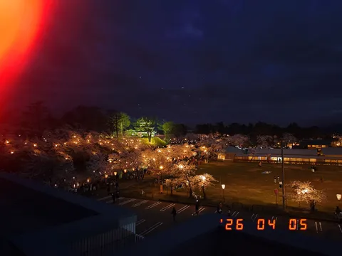 夜桜と古城の幻想的な灯り