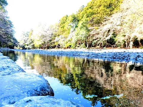 静寂な川面に映る木々の影