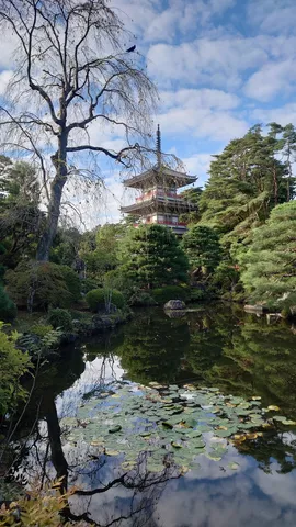 水面に映る古刹の夢