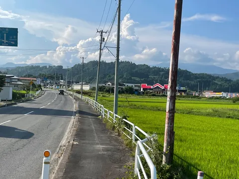 夏色に染まる田園風景