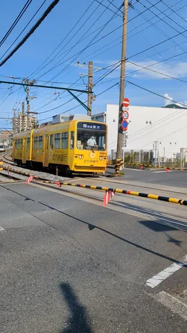 黄色い電車の午後