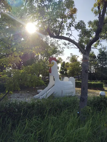 鳥と朝の光がつむぐ公園