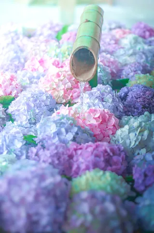 水音と花色の共鳴