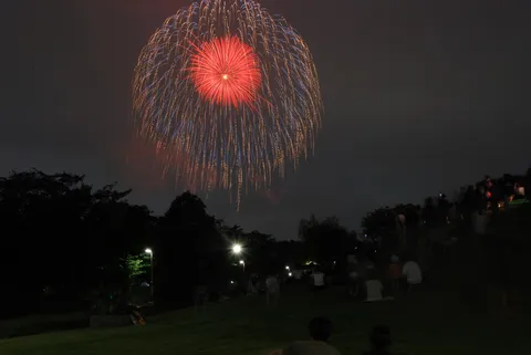 夜空に咲く大輪の花