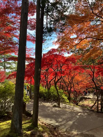紅葉の迷路を散歩中