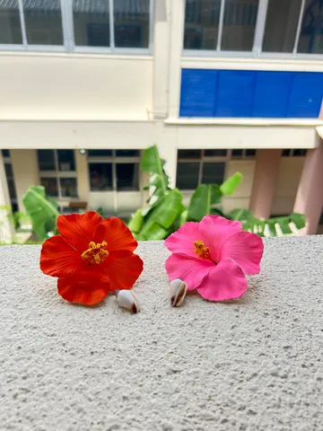 色の花が並ぶ夏の一息