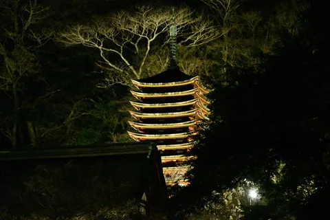闇夜に浮かぶ五重塔の神秘