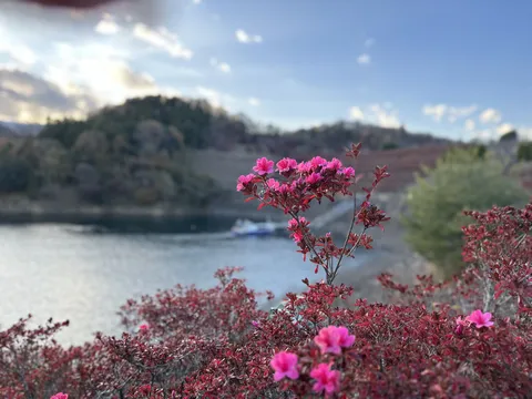花とボート、どっちが主役？