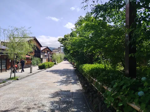 石畳の小道と新緑のコントラスト