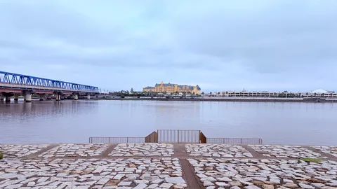 水辺に映る静かな日常