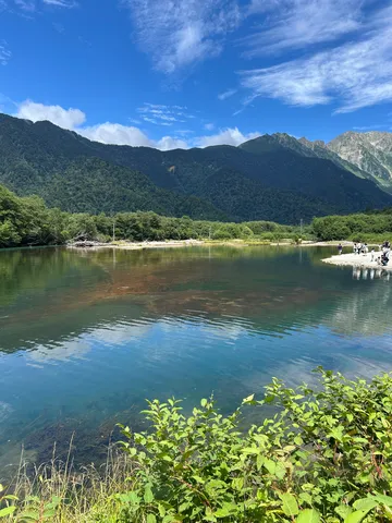 青緑の静かな鼓動