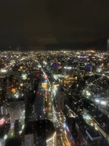 雨粒越しの光の海