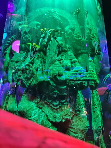 緑の神秘、水中神殿の熱帯魚