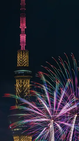 ド派手に彩る夜の主役争い