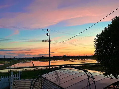 夕景の水鏡と電線の影