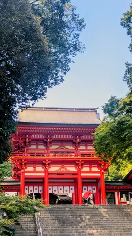 木漏れ日に映える朱の門