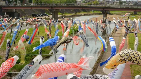 水面を彩る鯉のぼりの群舞