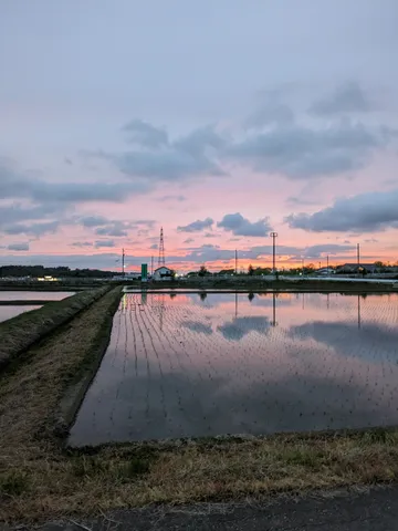 水面に広がる夕空のグラデーション