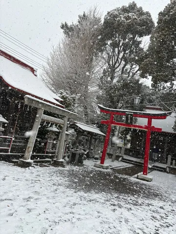 冬の神社に降る白雪