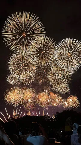 夜空を彩る金色の芸術