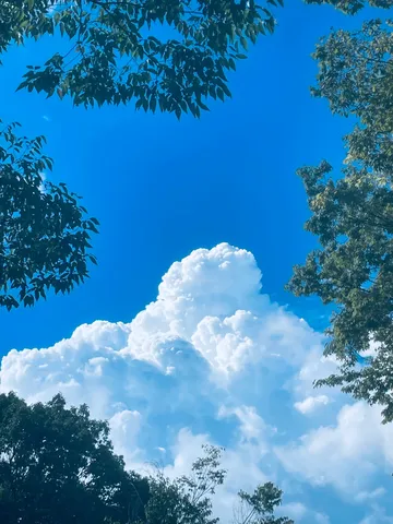 夏空にそびえる雲