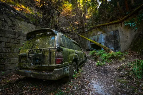 苔むした車、時が止まった森