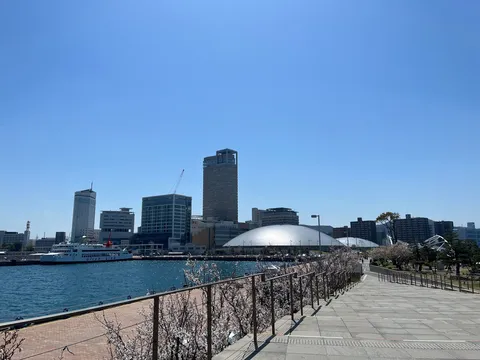 港の光を拾う春の路