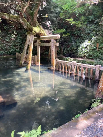 静寂に佇む古の鳥居