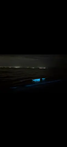 夜光る海に浮かぶ神秘