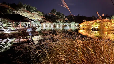 夜の帳に灯る、幻想的な水景