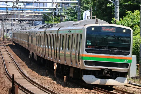 緑を纏う旅路、緑とオレンジのラインが鮮やか