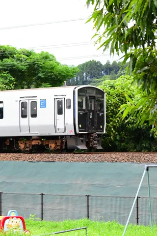 緑と鉄の静かな列車風景