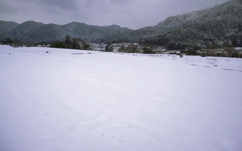 静寂に包まれた雪景色