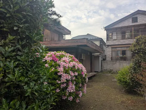 雨上がり、静かな庭の彩り