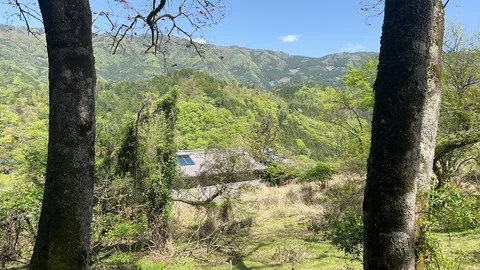 緑深まる山里の隠れ家