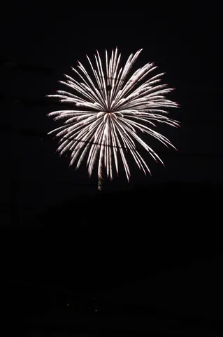 夜空に咲く光の花