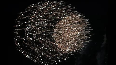 夜空を彩る花火の群れ